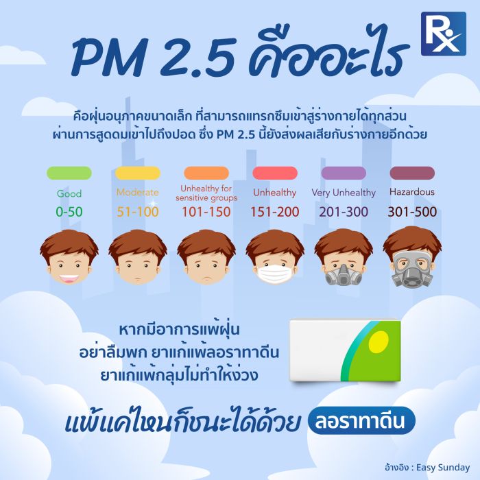 PM 2.5 คืออะไร?